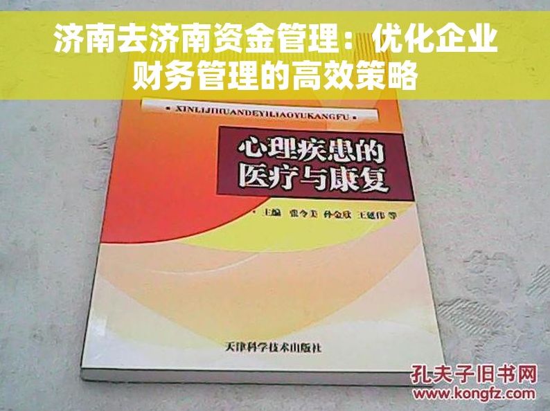 济南去济南资金管理：优化企业财务管理的高效策略