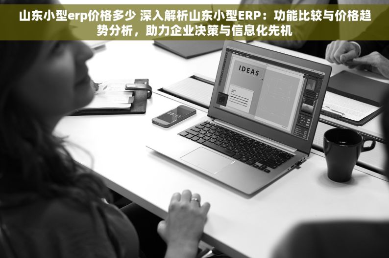 山东小型erp价格多少 深入解析山东小型ERP：功能比较与价格趋势分析，助力企业决策与信息化先机