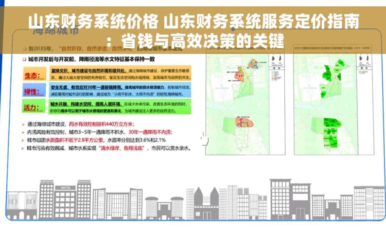 山东财务系统价格 山东财务系统服务定价指南：省钱与高效决策的关键