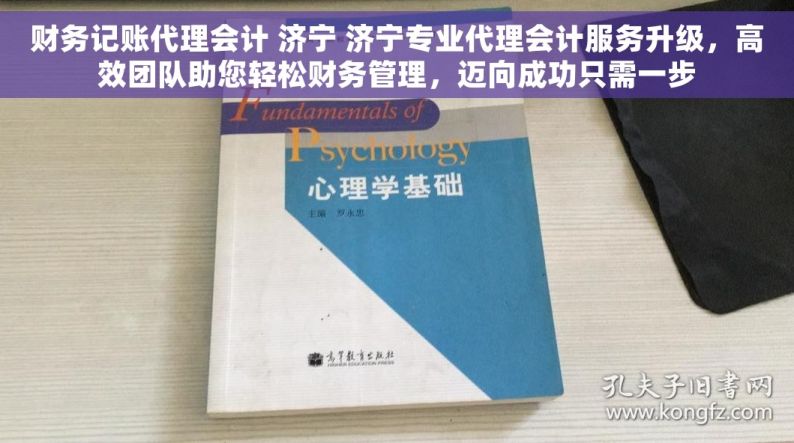 财务记账代理会计 济宁 济宁专业代理会计服务升级，高效团队助您轻松财务管理，迈向成功只需一步