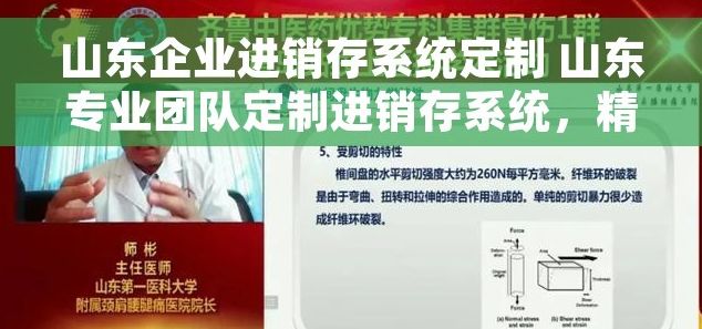 山东企业进销存系统定制 山东专业团队定制进销存系统，精准控成本，高效运营，量身打造企业专属工具