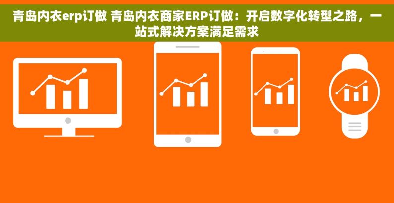 青岛内衣erp订做 青岛内衣商家ERP订做：开启数字化转型之路，一站式解决方案满足需求