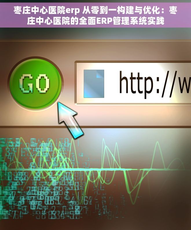 枣庄中心医院erp 从零到一构建与优化：枣庄中心医院的全面ERP管理系统实践
