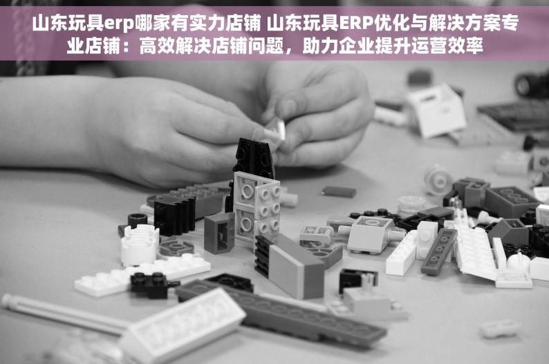 山东玩具erp哪家有实力店铺 山东玩具ERP优化与解决方案专业店铺：高效解决店铺问题，助力企业提升运营效率