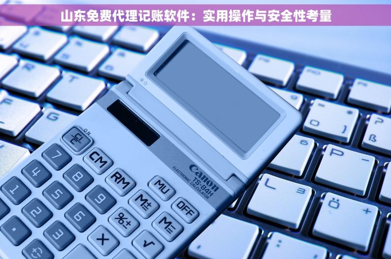 山东免费代理记账软件：实用操作与安全性考量