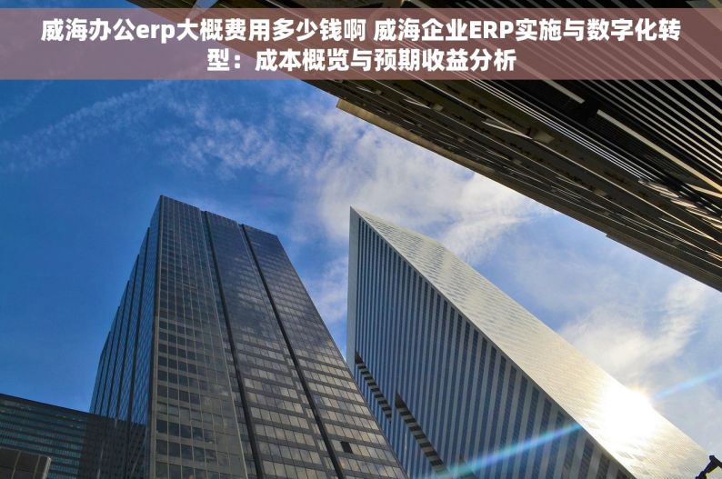 威海办公erp大概费用多少钱啊 威海企业ERP实施与数字化转型：成本概览与预期收益分析