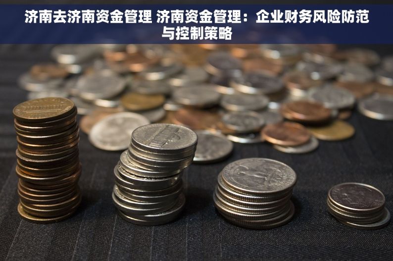 济南去济南资金管理 济南资金管理：企业财务风险防范与控制策略