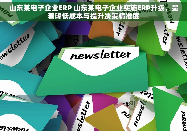 山东某电子企业ERP 山东某电子企业实施ERP升级，显著降低成本与提升决策精准度