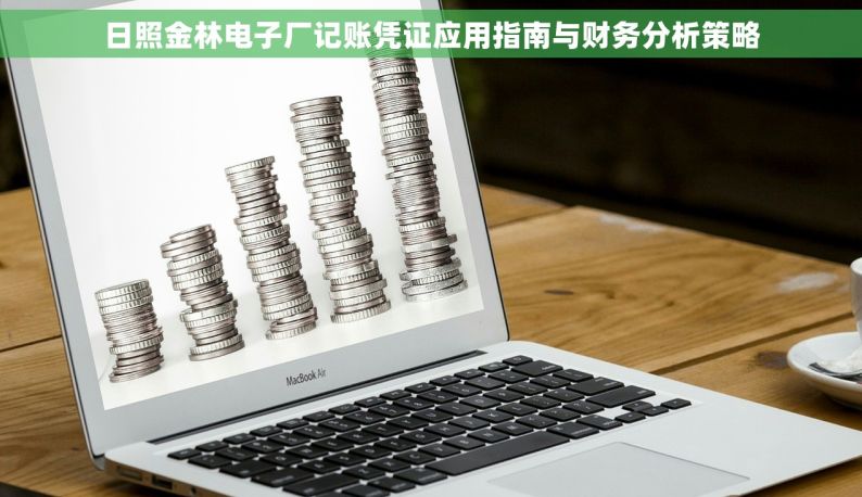 日照金林电子厂记账凭证应用指南与财务分析策略