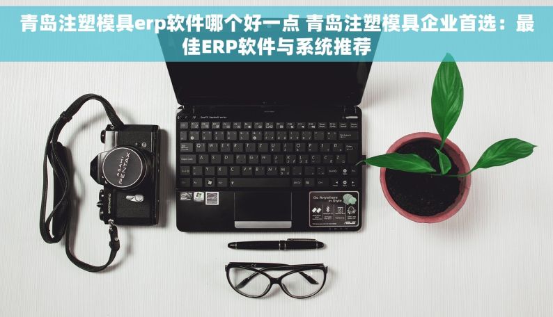 青岛注塑模具erp软件哪个好一点 青岛注塑模具企业首选：最佳ERP软件与系统推荐