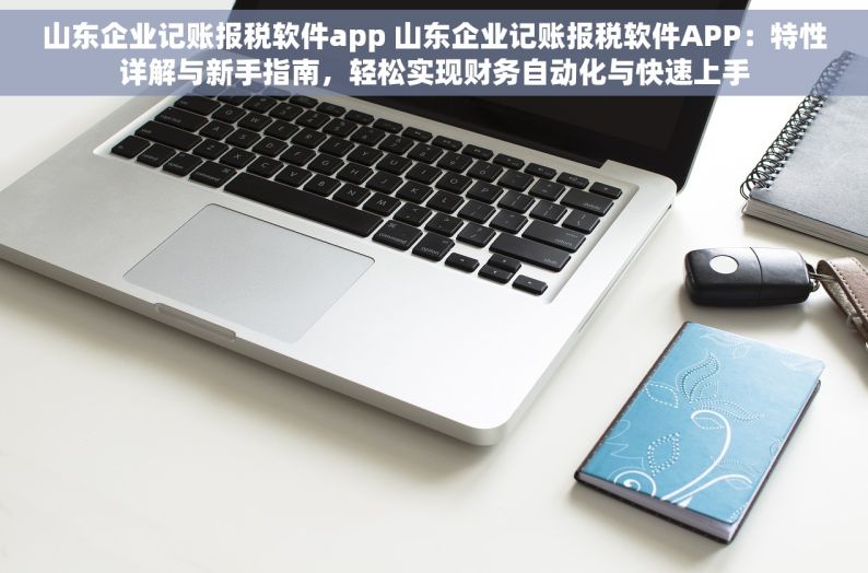 山东企业记账报税软件app 山东企业记账报税软件APP：特性详解与新手指南，轻松实现财务自动化与快速上手