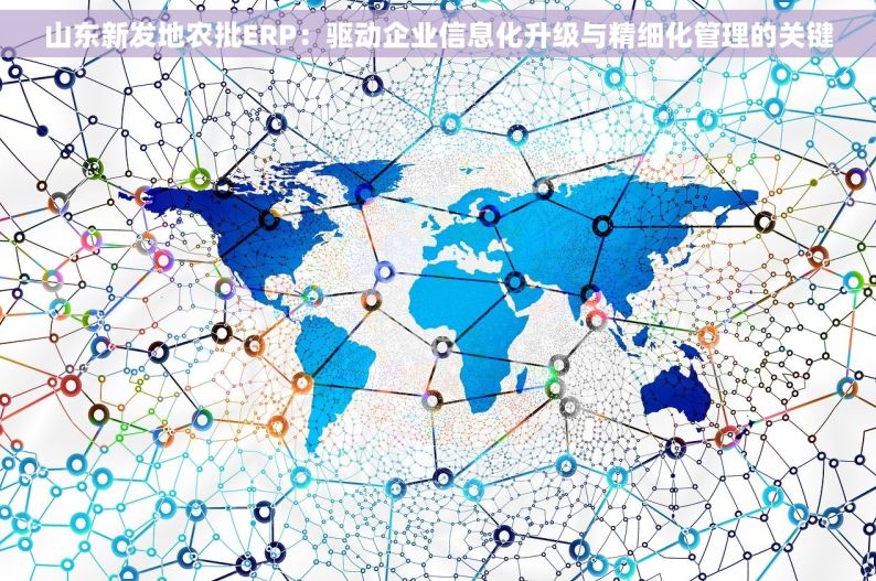 山东新发地农批ERP：驱动企业信息化升级与精细化管理的关键