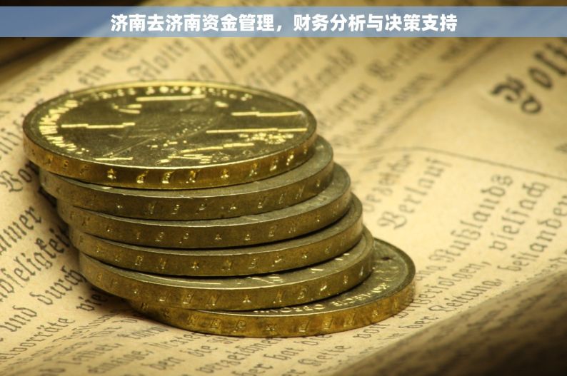 济南去济南资金管理，财务分析与决策支持