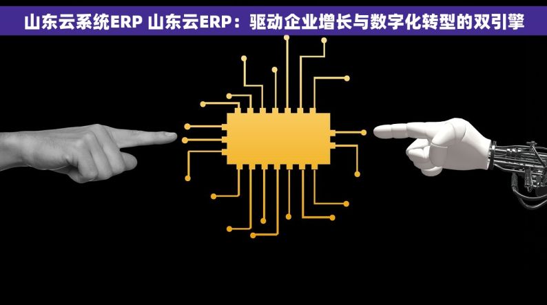 山东云系统ERP 山东云ERP：驱动企业增长与数字化转型的双引擎