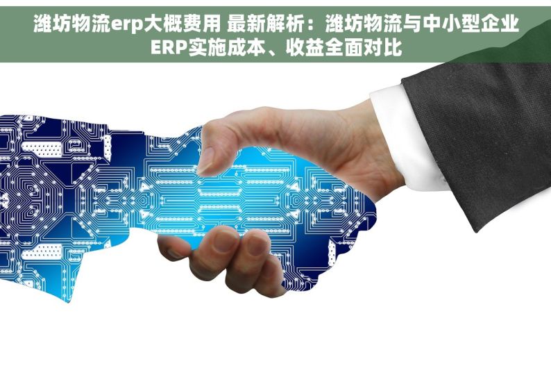 潍坊物流erp大概费用 最新解析：潍坊物流与中小型企业ERP实施成本、收益全面对比