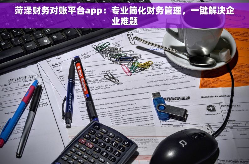 菏泽财务对账平台app：专业简化财务管理，一键解决企业难题