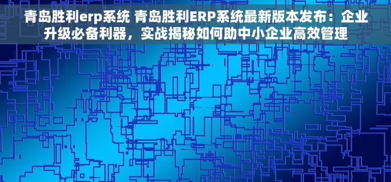 青岛胜利erp系统 青岛胜利ERP系统最新版本发布：企业升级必备利器，实战揭秘如何助中小企业高效管理