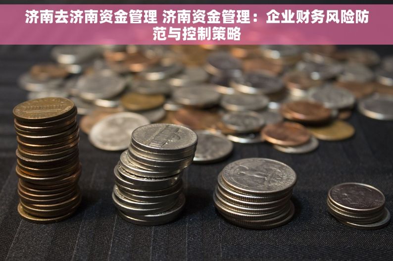 济南去济南资金管理 济南资金管理：企业财务风险防范与控制策略