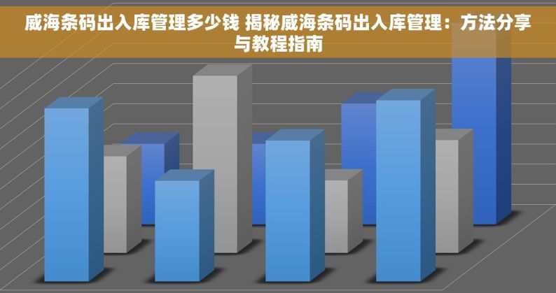 威海条码出入库管理多少钱 揭秘威海条码出入库管理：方法分享与教程指南