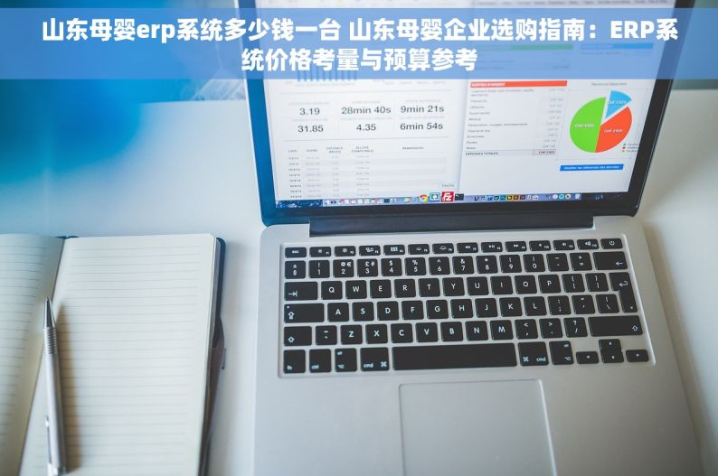 山东母婴erp系统多少钱一台 山东母婴企业选购指南：ERP系统价格考量与预算参考