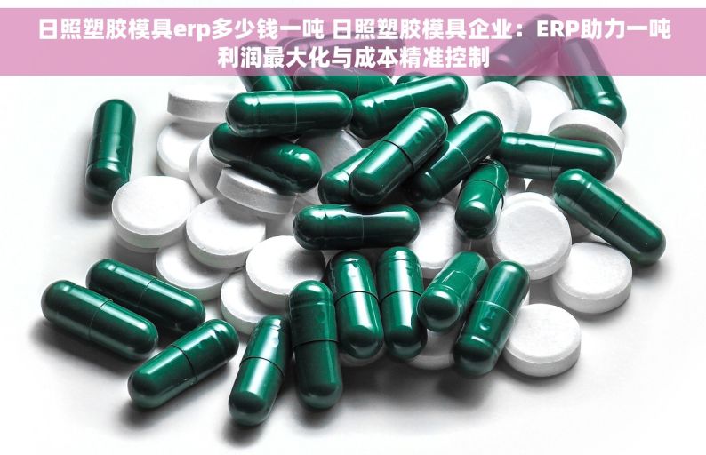 日照塑胶模具erp多少钱一吨 日照塑胶模具企业：ERP助力一吨利润最大化与成本精准控制