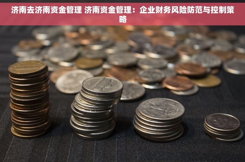 济南去济南资金管理 济南资金管理：企业财务风险防范与控制策略