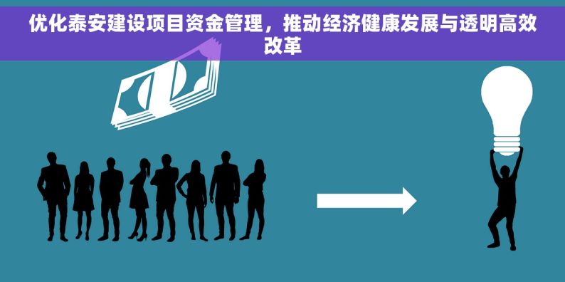 优化泰安建设项目资金管理，推动经济健康发展与透明高效改革