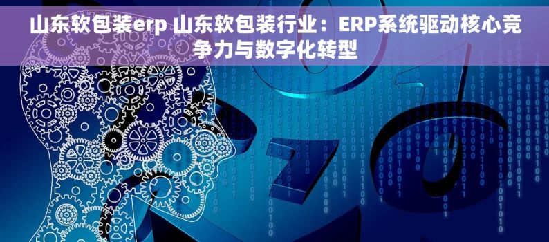 山东软包装erp 山东软包装行业：ERP系统驱动核心竞争力与数字化转型