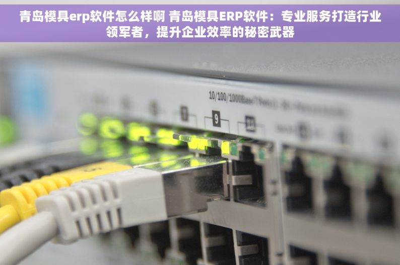 青岛模具erp软件怎么样啊 青岛模具ERP软件：专业服务打造行业领军者，提升企业效率的秘密武器