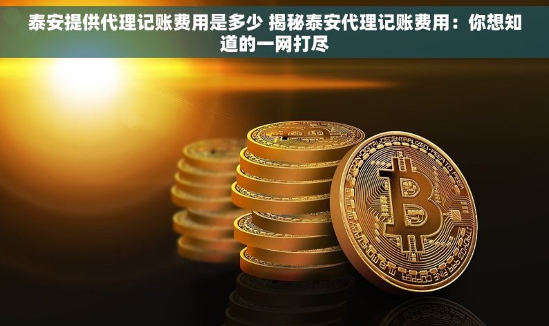 泰安提供代理记账费用是多少 揭秘泰安代理记账费用：你想知道的一网打尽