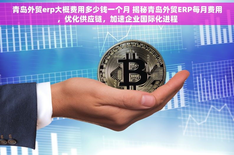 青岛外贸erp大概费用多少钱一个月 揭秘青岛外贸ERP每月费用，优化供应链，加速企业国际化进程