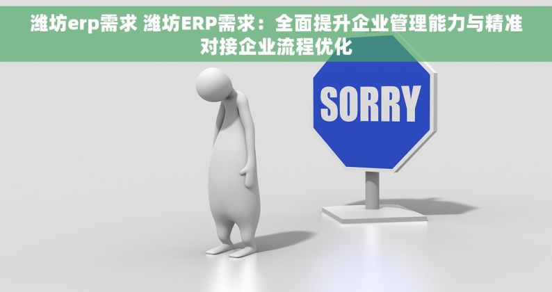 潍坊erp需求 潍坊ERP需求：全面提升企业管理能力与精准对接企业流程优化