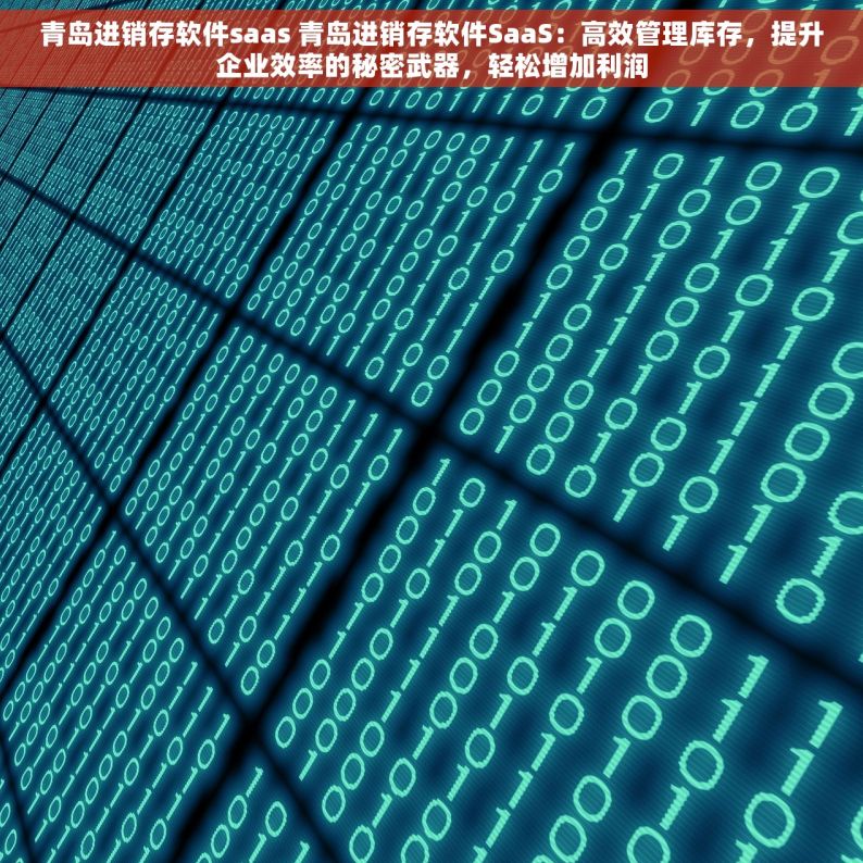 青岛进销存软件saas 青岛进销存软件SaaS：高效管理库存，提升企业效率的秘密武器，轻松增加利润