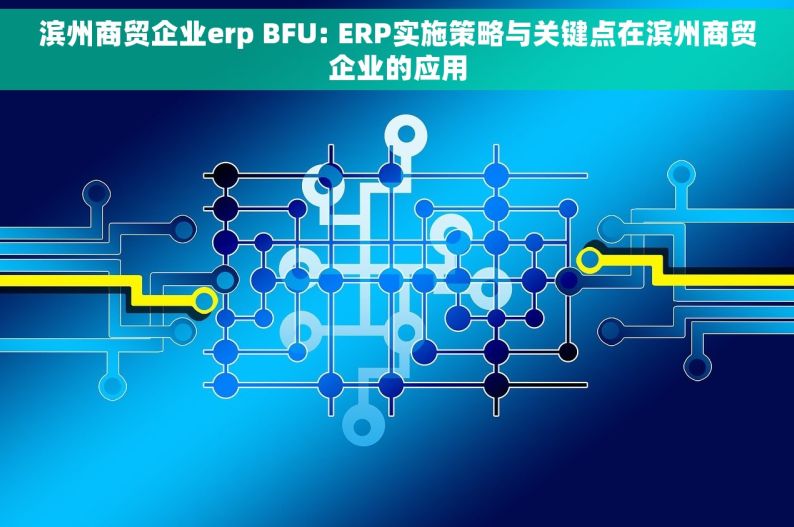 滨州商贸企业erp BFU: ERP实施策略与关键点在滨州商贸企业的应用