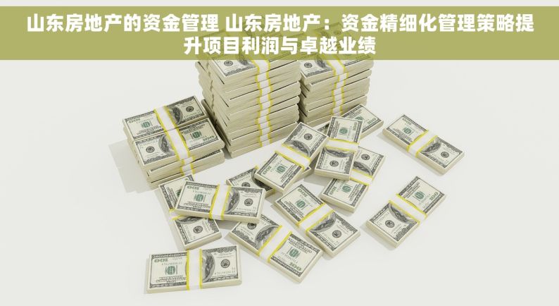 山东房地产的资金管理 山东房地产：资金精细化管理策略提升项目利润与卓越业绩