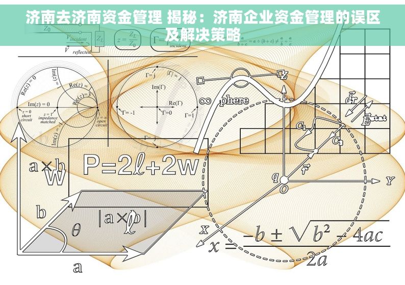 济南去济南资金管理 揭秘：济南企业资金管理的误区及解决策略