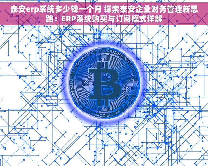 泰安erp系统多少钱一个月 探索泰安企业财务管理新思路：ERP系统购买与订阅模式详解