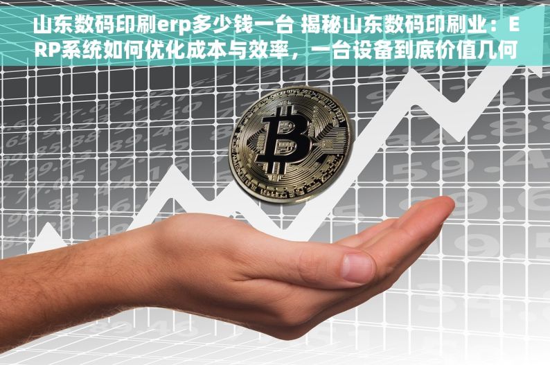 山东数码印刷erp多少钱一台 揭秘山东数码印刷业：ERP系统如何优化成本与效率，一台设备到底价值几何？