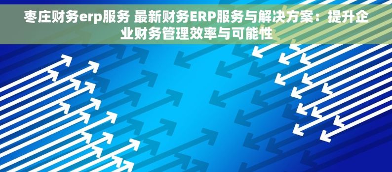 枣庄财务erp服务 最新财务ERP服务与解决方案：提升企业财务管理效率与可能性