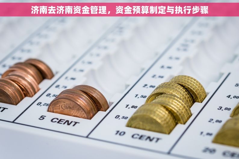 济南去济南资金管理，资金预算制定与执行步骤