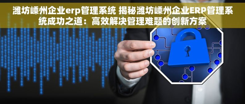 潍坊嵊州企业erp管理系统 揭秘潍坊嵊州企业ERP管理系统成功之道：高效解决管理难题的创新方案