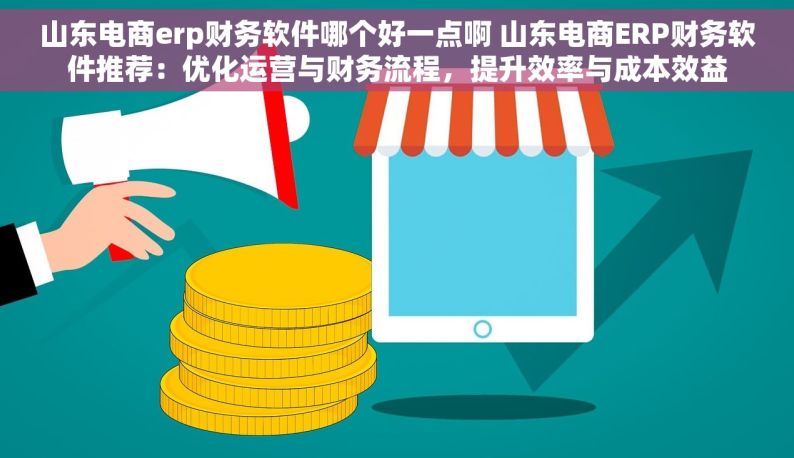 山东电商erp财务软件哪个好一点啊 山东电商ERP财务软件推荐：优化运营与财务流程，提升效率与成本效益