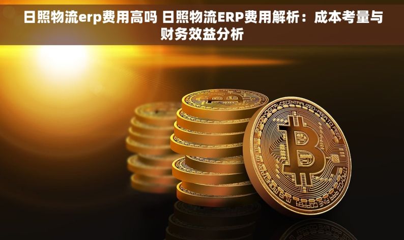 日照物流erp费用高吗 日照物流ERP费用解析：成本考量与财务效益分析