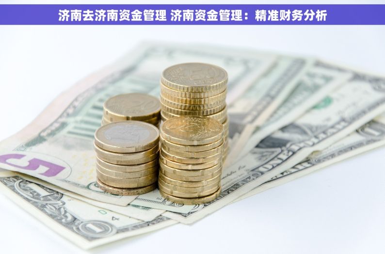 济南去济南资金管理 济南资金管理：精准财务分析