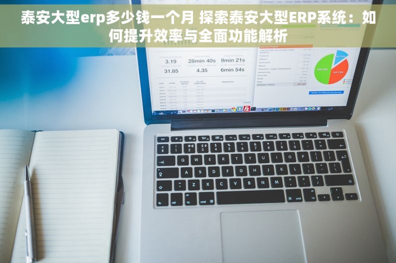 泰安大型erp多少钱一个月 探索泰安大型ERP系统：如何提升效率与全面功能解析