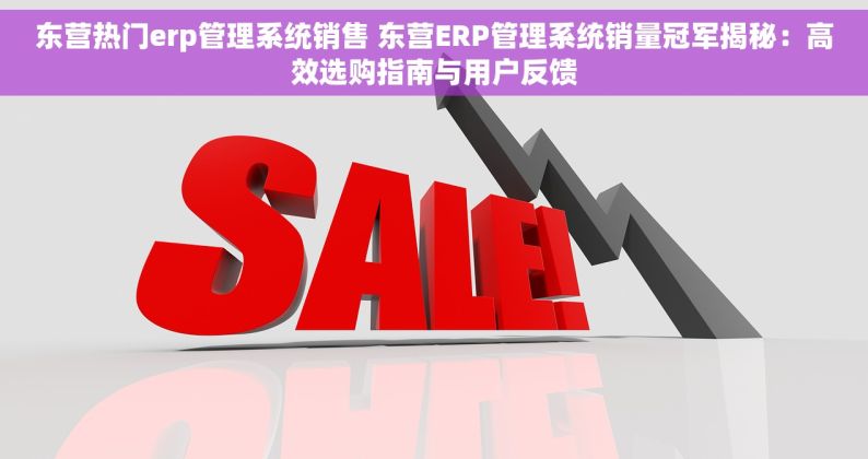 东营热门erp管理系统销售 东营ERP管理系统销量冠军揭秘：高效选购指南与用户反馈