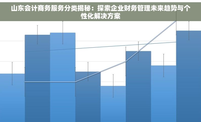 山东会计商务服务分类揭秘：探索企业财务管理未来趋势与个性化解决方案