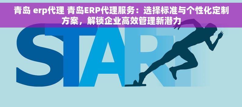 青岛 erp代理 青岛ERP代理服务：选择标准与个性化定制方案，解锁企业高效管理新潜力