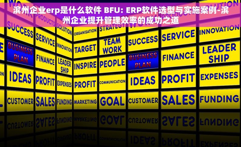 滨州企业erp是什么软件 BFU: ERP软件选型与实施案例-滨州企业提升管理效率的成功之道