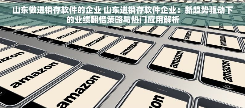 山东做进销存软件的企业 山东进销存软件企业：新趋势驱动下的业绩翻倍策略与热门应用解析